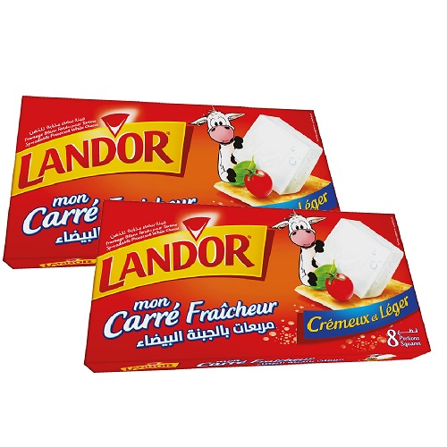 Lot de 2 fromages carré