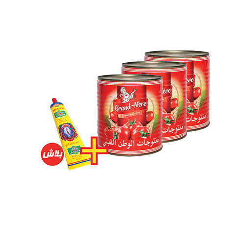 Lot de 3 tomates double concentré