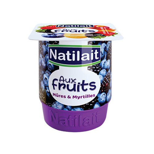 Yaourt aux fruits mûres et myrtilles