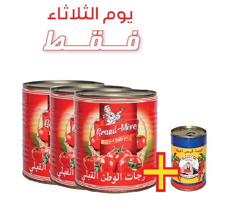 Lot de 3 tomates double concentré et harissa