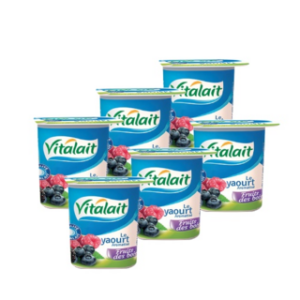Lot de 6 yaourts aromatisés fruits de bois