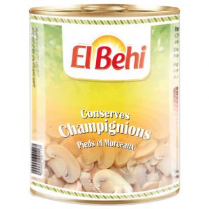 Lot de 2 conserves de champignons