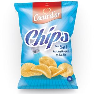 Lot de 4 chips sel