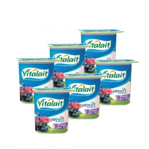 Yaourt aromatisé fruit des bois