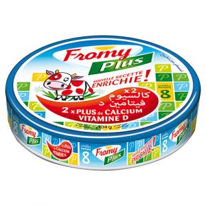Spécialité fromagère fondu 8p fromy plus