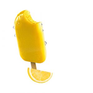 Lot 2 glaces citron
