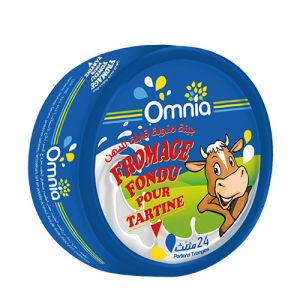 Fromage fondu triangle