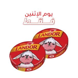 Lot de 2 fromage triangle fondu