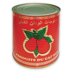  Tomate double concentré 