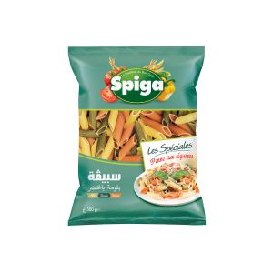 Pate penne aux légumes