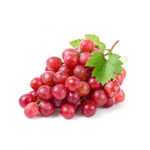 RAISIN RED GLOBE EMB
