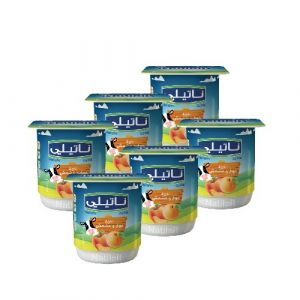 Lot de 6 yaourts pêche abricot