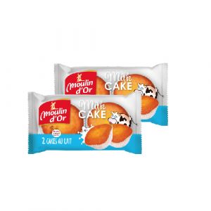 Lot de 2 mini cakes orange