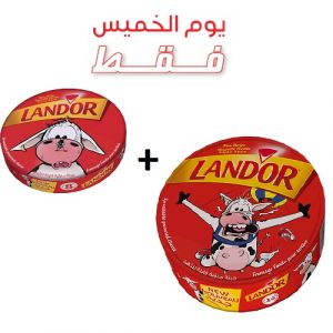 Lot de 2 fromages fondu triangle