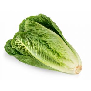 SALADE ROMAINE PC EMB