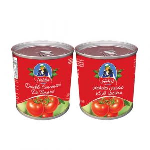 Lot de 2 double concentré de tomates