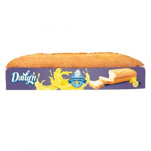 Lot de 2 cakes citron