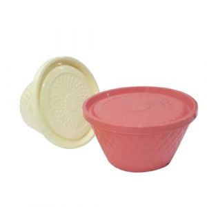Lot de 2 boites de conservation en plastique avec couvercle