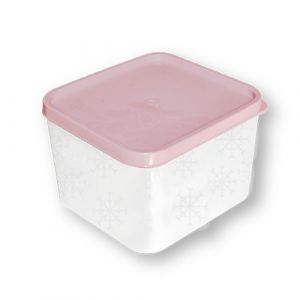 Boite de conservation en plastique