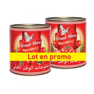 Lot de 2 double concentré de tomates