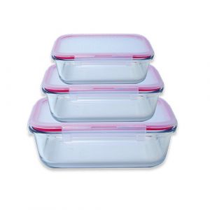 Lot de 3 boîtes de conservation en verre