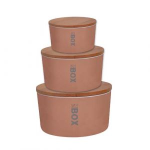 Lot de 3 boites de conservation