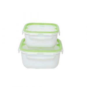 Lot de 2 boîtes de conservation carrées en plastique