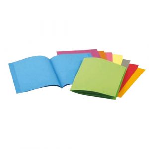 Lot de 20 chemises cartonnées