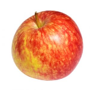 POMME ANNA EMB