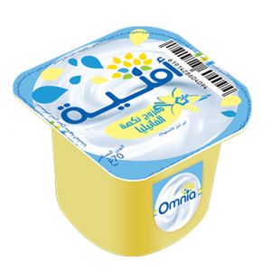Lot de 6 yaourts brassé vanille