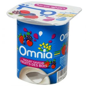 Lot de 6 yaourts aromatisé fruits des bois