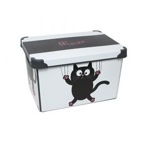 Box de rangement en plastique
