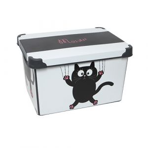 Box de rangement
