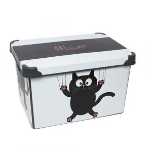 Box de rangement