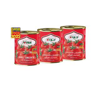 Lot de 3 boîtes de double concentré de tomate