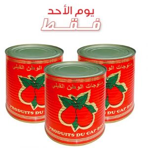 Lot de 3 boites de double concentré de tomate
