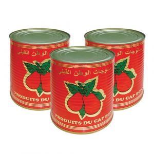 Lot de 3 boites de double concentré de tomate