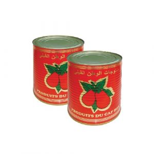 Lot de 2 double concentré de tomate
