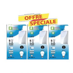 Lot de 3 lampes LED