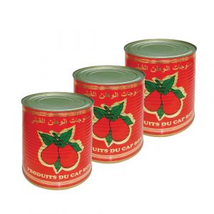 Lot de 3 boites de double concentré de tomate