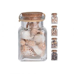 Coquillages décoratifs