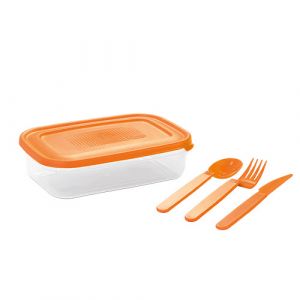 Boite en plastique avec cuillère fourchette et  couteau