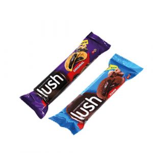 Biscuit