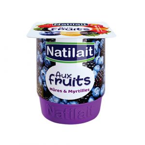 Yaourt aux fruits mûres et myrtilles