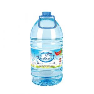 Lot de 2 bouteilles d'eau de table  