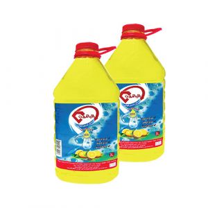 Lot 2 liquides vaisselles