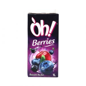 Boisson au jus berries