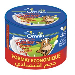 Fromage triangle fondu 