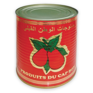 Lot de 2 tomate double concentré