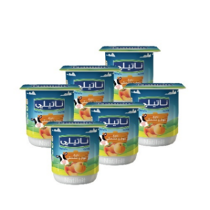 Lot de 6 yaourts pêche abricot